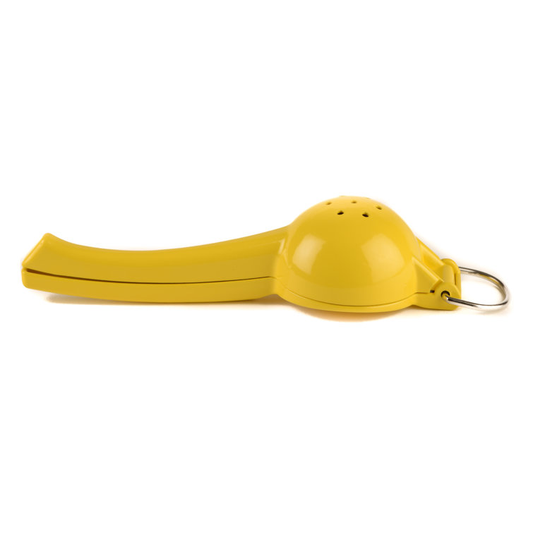 Lemon squeezer kmart store